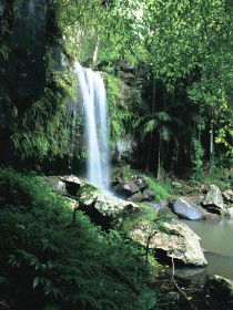 Curtis Falls, Joalah Section - Accommodation Coffs Harbour 0