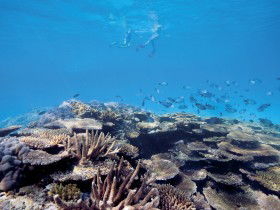 Australian Institute Of Marine Science - Accommodation Coffs Harbour 0