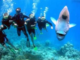 Gotham City Dive Site - Accommodation Coffs Harbour 0