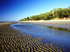 Burrum Coast National Park - Accommodation Coffs Harbour 0