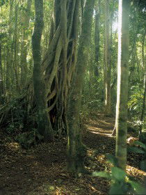  Accommodation Coffs Harbour
