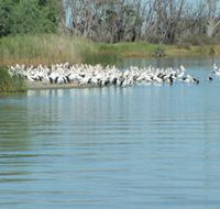 Lake Ross - Accommodation Coffs Harbour