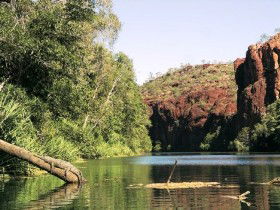 Nicholson ACT Accommodation Coffs Harbour