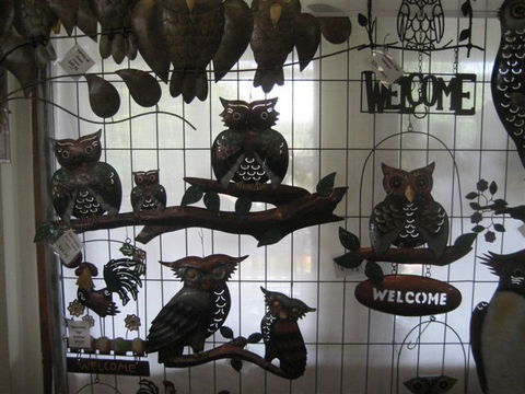 Maleny Sunday Market - Accommodation Coffs Harbour 2