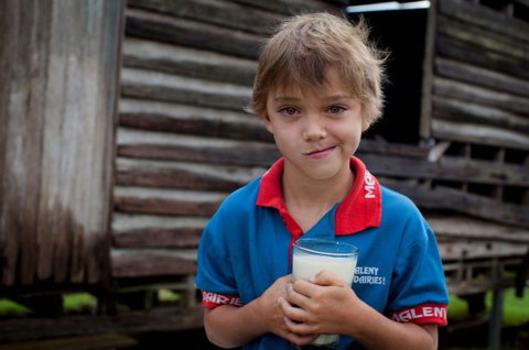 Maleny Dairies - Accommodation Coffs Harbour 2