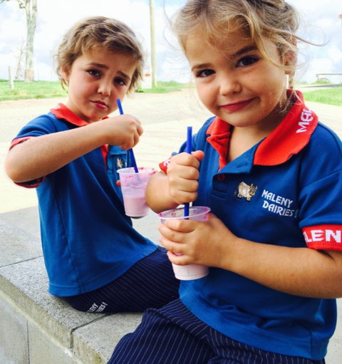 Maleny Dairies - Accommodation Coffs Harbour 3