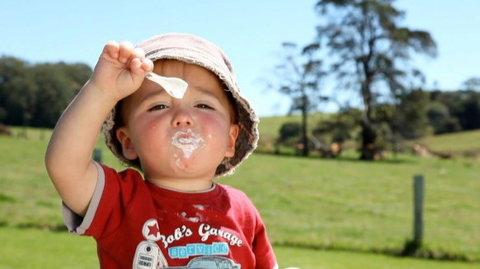 Maleny Dairies - Accommodation Coffs Harbour 5