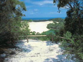 Lake Wabby Track - Accommodation Coffs Harbour 0