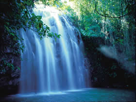 Zillie Falls - Accommodation Coffs Harbour 0