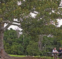 Ravensbourne National Park - Accommodation Coffs Harbour
