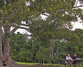 Ravensbourne National Park - Accommodation Coffs Harbour 0