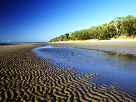 Kinkuna Section - Accommodation Coffs Harbour 0