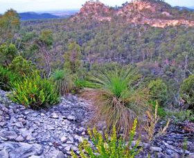 Hornet Bank QLD Accommodation Coffs Harbour