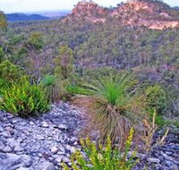 Isla Gorge National Park - Accommodation Coffs Harbour