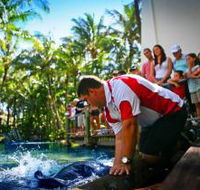 The Living Reef on Daydream Island - Accommodation Coffs Harbour