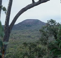 Mount Fox - Accommodation Coffs Harbour