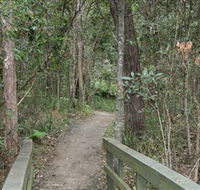 Springwood Conservation Park - Accommodation Coffs Harbour