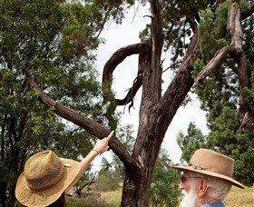 Charleville - Outback Native Timber Walk - Accommodation Coffs Harbour 0