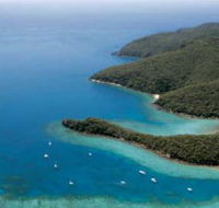 Butterfly Bay - Hook Island - Accommodation Coffs Harbour