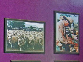 Charleville Photographic Display - Accommodation Coffs Harbour 0