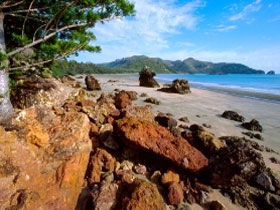 Diversity Boardwalk - Accommodation Coffs Harbour 0