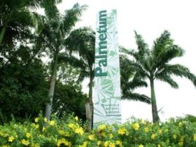 Townsville Palmetum - Accommodation Coffs Harbour 0