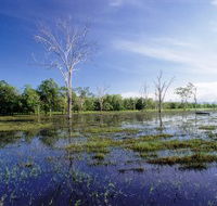 Tyto Wetlands - Accommodation Coffs Harbour