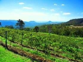 Preston Peak Wines - Accommodation Coffs Harbour 0