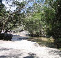 Davies Creek National Park and Dinden National Park - Accommodation Coffs Harbour