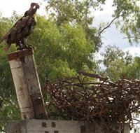 Blackall Sculpture Trail - Accommodation Coffs Harbour