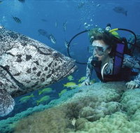 Pelorus Island - Accommodation Coffs Harbour