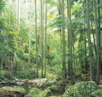 Python Rock - Accommodation Coffs Harbour