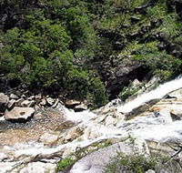 Dinden National Park - Accommodation Coffs Harbour