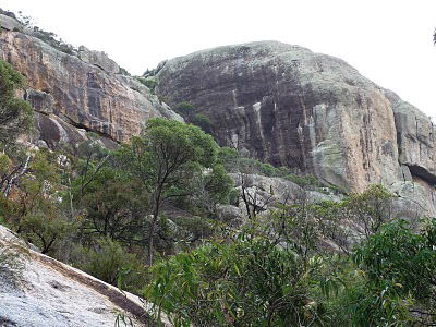 Mount Walsh National Park - Accommodation Coffs Harbour 0
