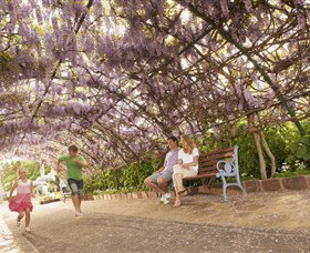 Laurel Bank Park - Accommodation Coffs Harbour 0