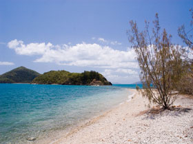 Shute Harbour QLD Accommodation Coffs Harbour