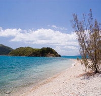 Paddle Bay Track and Campsite - Accommodation Coffs Harbour