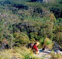 Expedition National Park - Accommodation Coffs Harbour