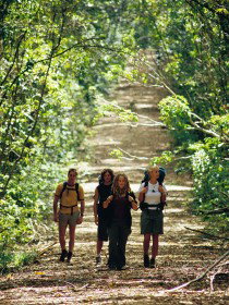 Wet Tropics Great Walk - Accommodation Coffs Harbour 0