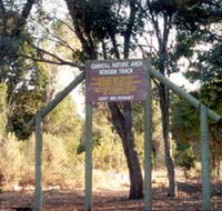 Carroll Nature Reserve Kokoda Track - Accommodation Coffs Harbour