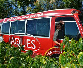 Jaques Coffee Plantation - Accommodation Coffs Harbour 0