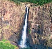 Buujan Quiinbiira Walk Wet Tropics Great Walk - Accommodation Coffs Harbour