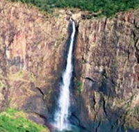 Gugigugi Butterfly Walk Wet Tropics Great Walk - Accommodation Coffs Harbour