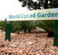 Anderson Park Botanic Gardens - Accommodation Coffs Harbour