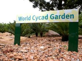 Anderson Park Botanic Gardens - Accommodation Coffs Harbour 0