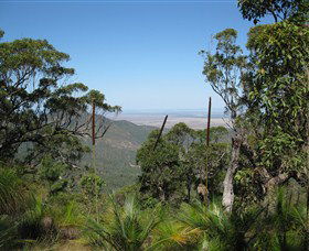 Zamia Walk - Accommodation Coffs Harbour 0