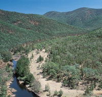 Sundown National Park - Accommodation Coffs Harbour