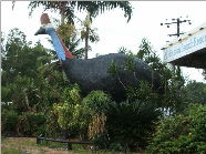  Accommodation Coffs Harbour