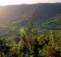 Pine Grove Circuit - Accommodation Coffs Harbour