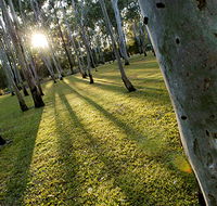 Tondoon Botanic Gardens - Accommodation Coffs Harbour